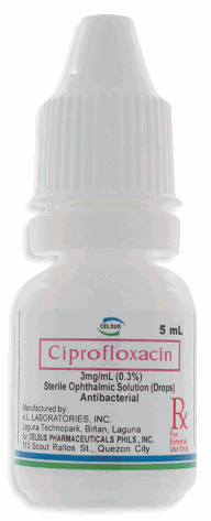 Ciprofloxacin eye drops 2024 for cats dosage